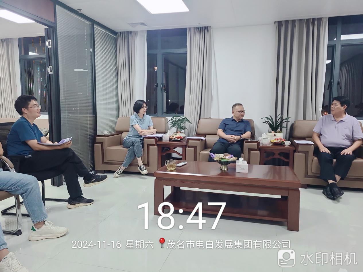 电白发展集团