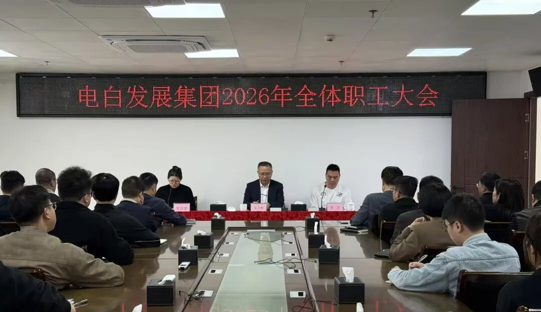 电白发展集团