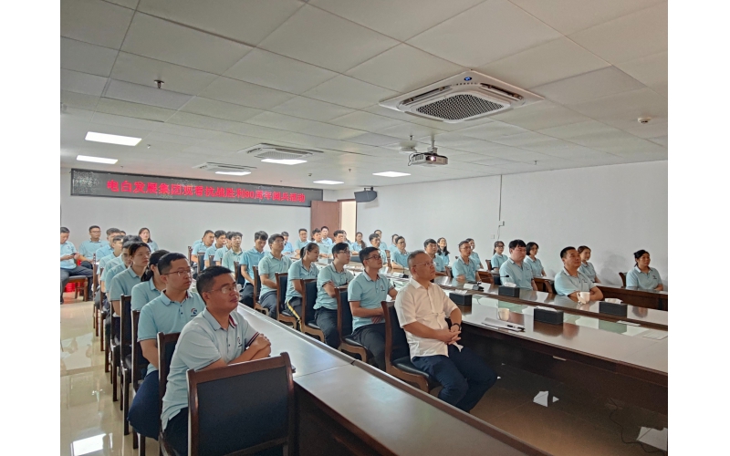 铭记抗战历史 勇担国企使命 &mdash;&mdash; 电白发展集团组织观看纪念抗战胜利 80 周年大会