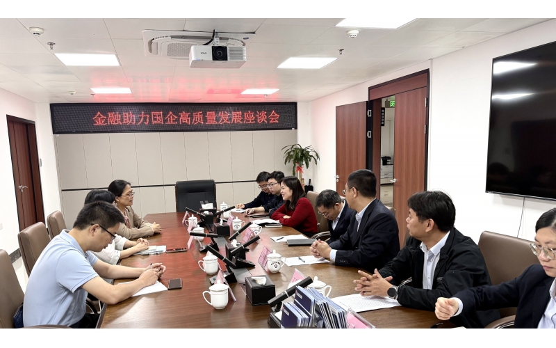 茂名金融监管分局黄美贤局长带队莅临电白发展集团调研指导 赋能国企高质量发展