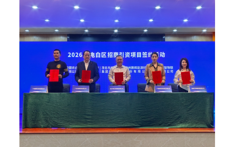 喜报！电白发展集团签约四大优质企业，激活产业新活力量发展